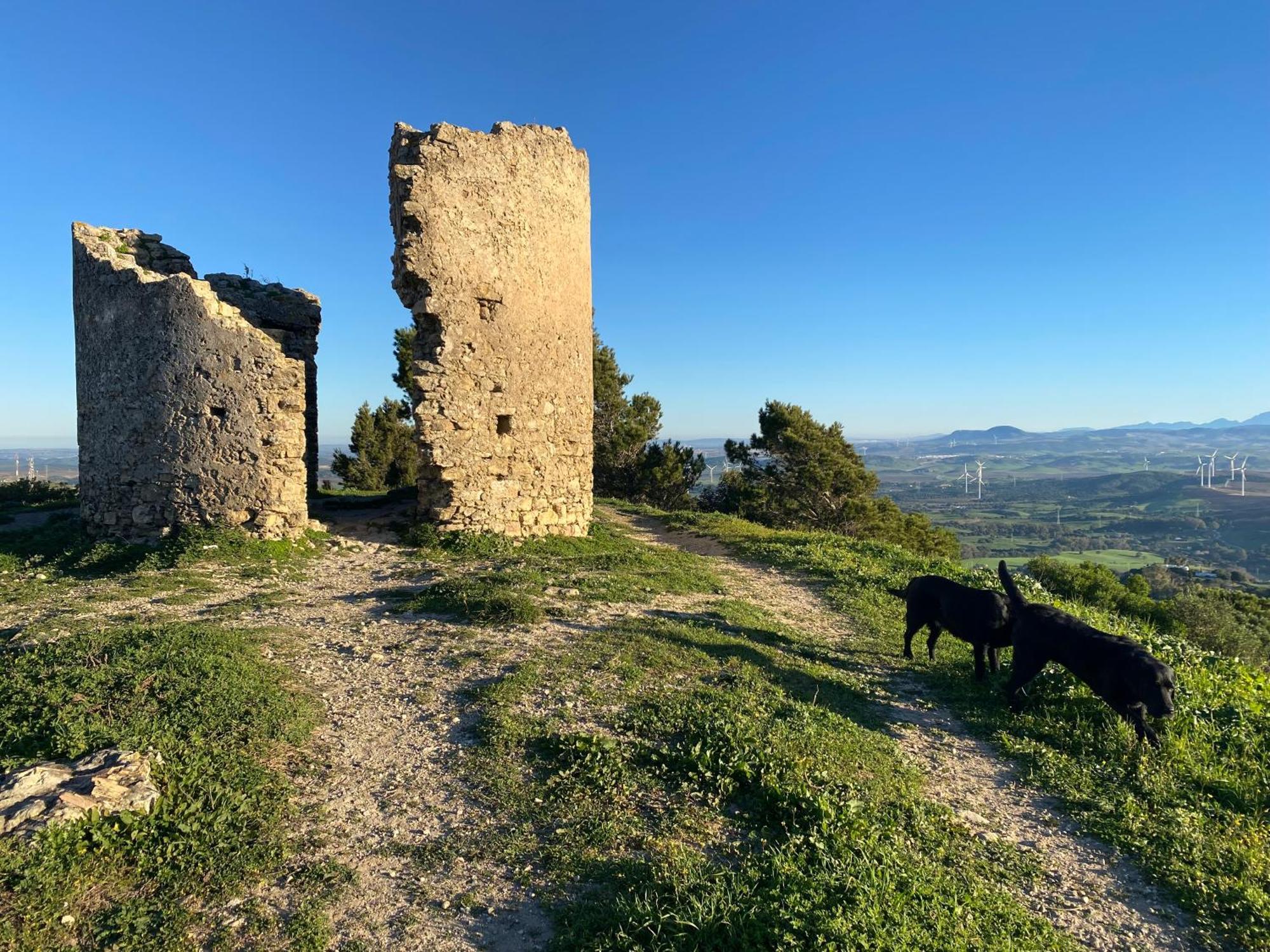 Casita De La Suerte Leilighet Medina-Sidonia Eksteriør bilde